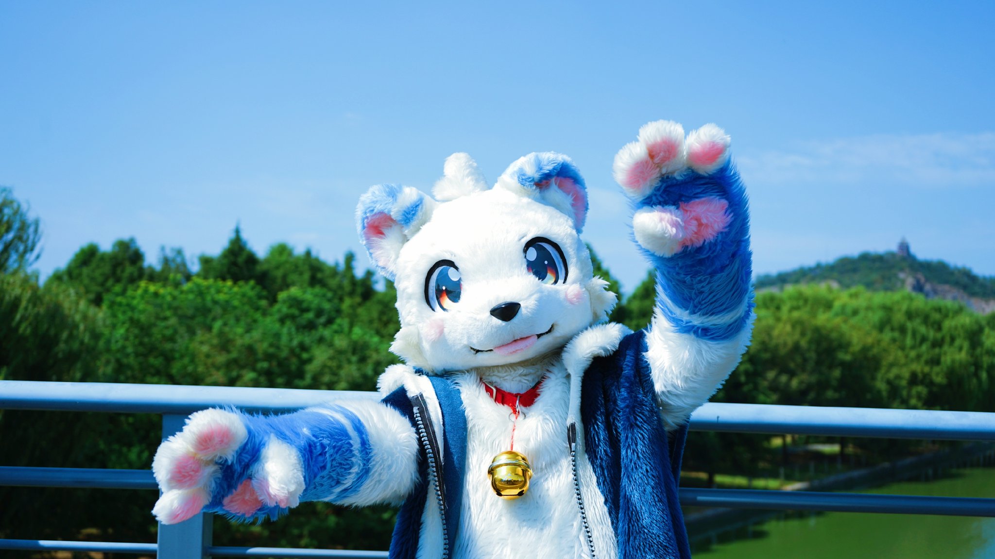 兽圈(毛圈)入门指南参考资料