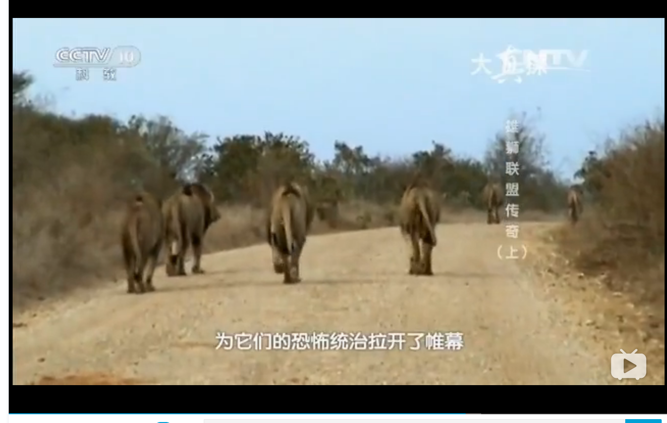 坏男孩老六t先生现在在b站被黑的很厉害纪录片得背锅