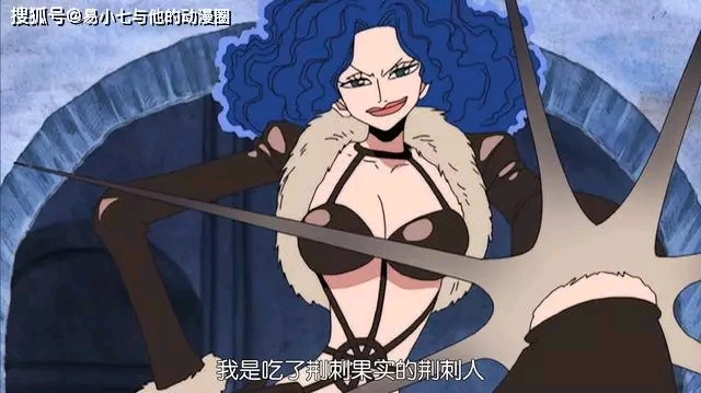 双手指 荆棘果实拥有者 可以从身体的任何一部分长出刺.