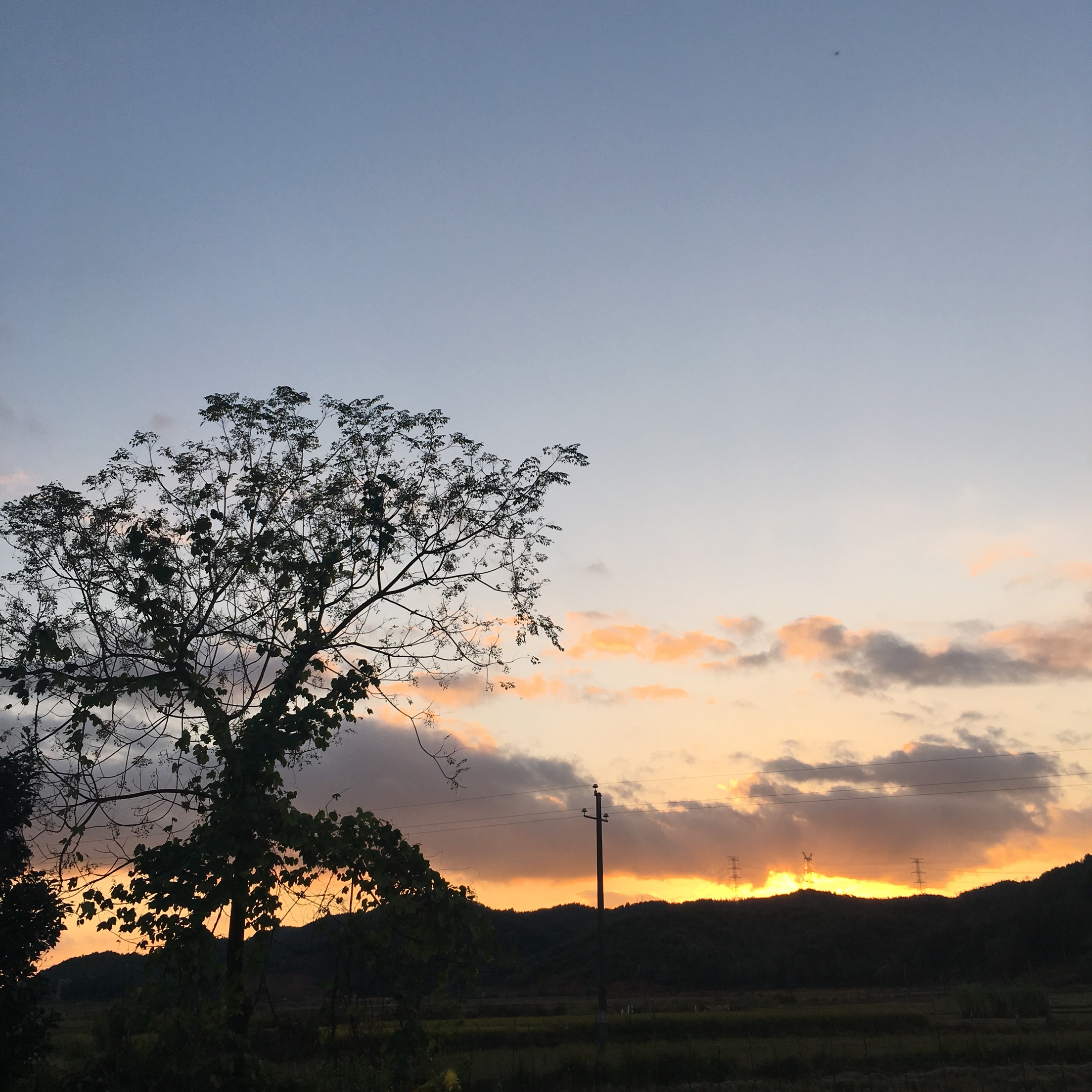 傍晚夕阳