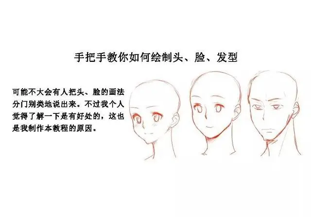 【头部,脸型素材】板绘初学者动漫人物教程练习