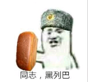 关于苏维埃的表情包#8