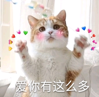 来自花花与三猫 猪皮