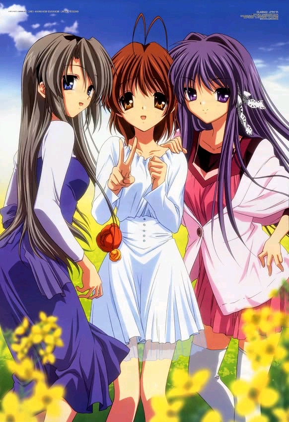 姐妹情深自有缘相依相伴赋诗篇藤林杏藤林椋合集clannad