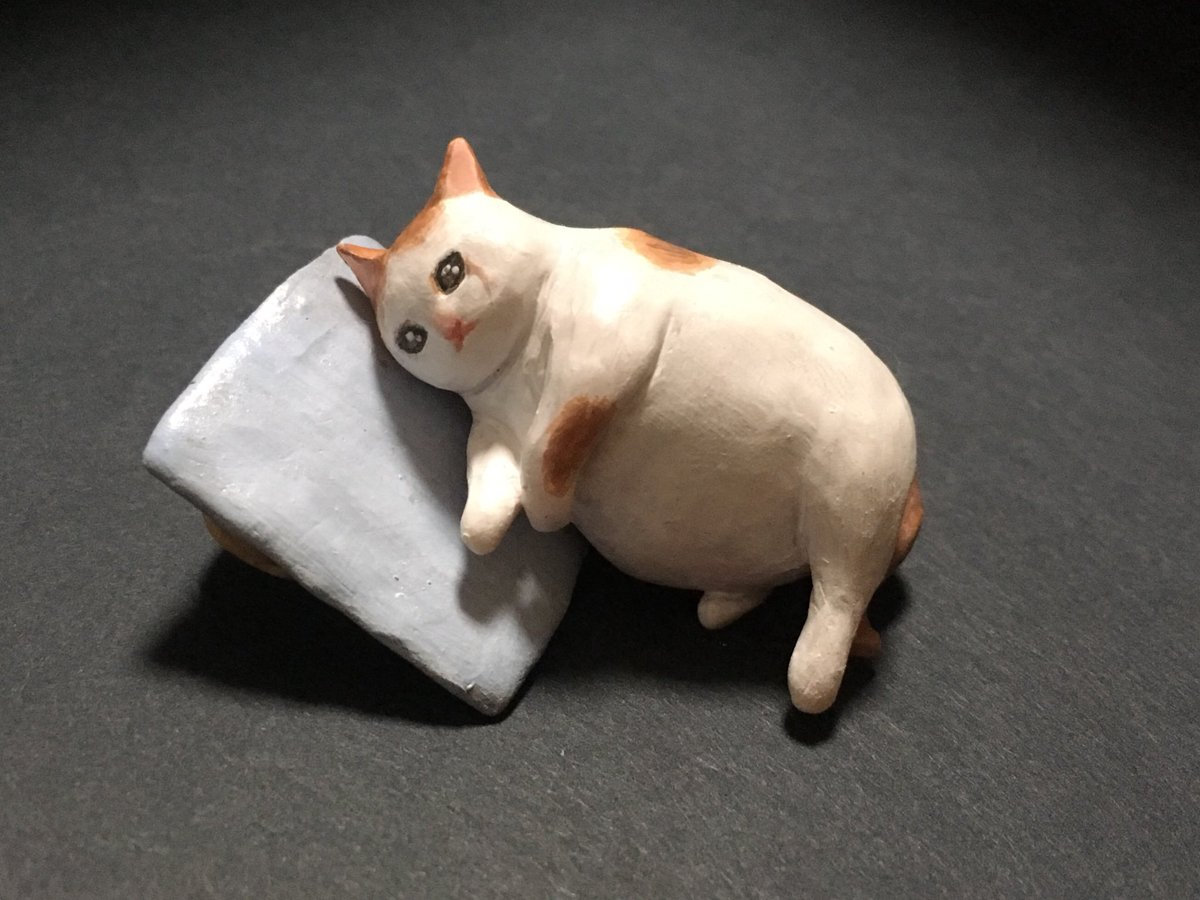 胖胖猫哭哭