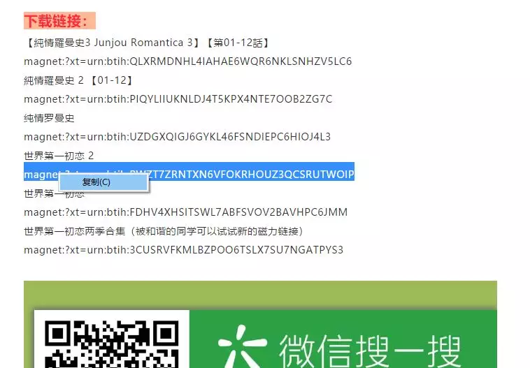 各位迅雷,求推荐一个下载大佬的替代器日本电影不纯伦爱图片