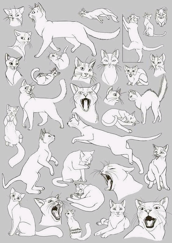 相信很多小宝贝很喜欢小猫咪吧～这是一期猫咪线稿大合集哦,快练起来