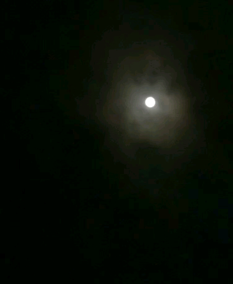 emmm 手头只有这些 大晚上不睡觉自己看月亮 给个赞呗～谢谢你