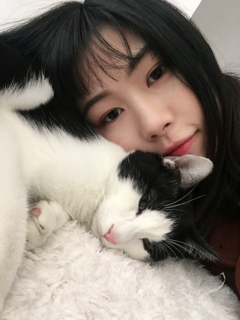 壁纸 动物 狗 狗狗 966_1288 竖版 竖屏 手机