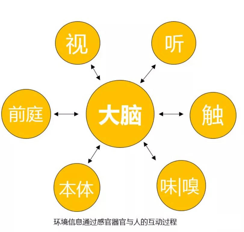 、味觉、嗅觉、听觉、前庭觉和本体觉等，对孩子的帮助是深远且持久的。