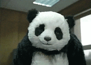 心爱的gif表情包添加不到微信里?我来教你