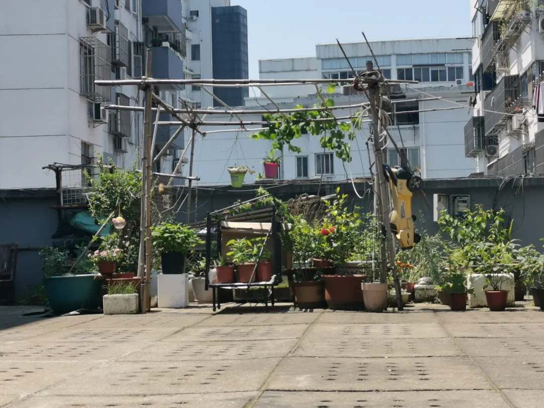 老房子屋顶