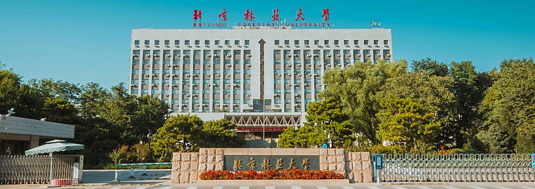 北京林业大学风景园林考研情况和复习重点分析