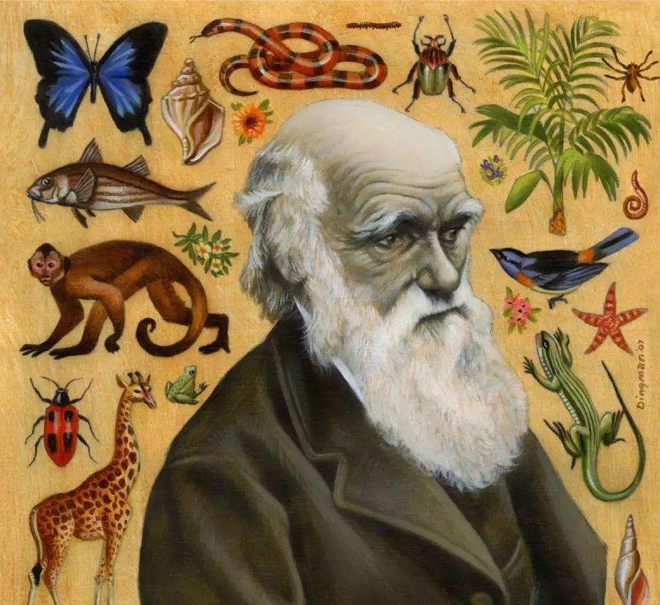 达尔文的进化论靠谱吗?