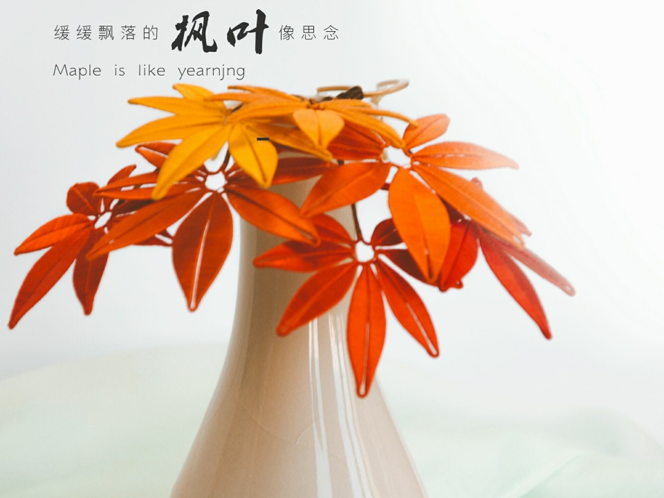 像盒子麻麻请教了很多问题,终于把枫叶系列缠花做好了~前后差不多用图片