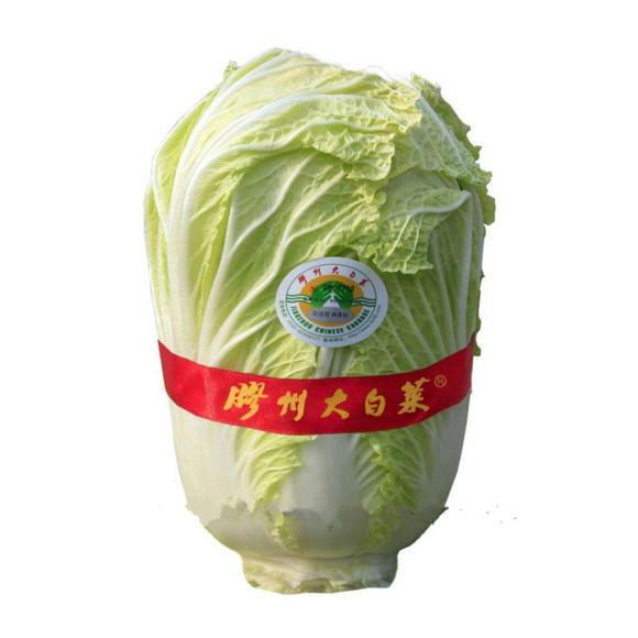 大白菜洋白菜小白菜他们之间是什么关系