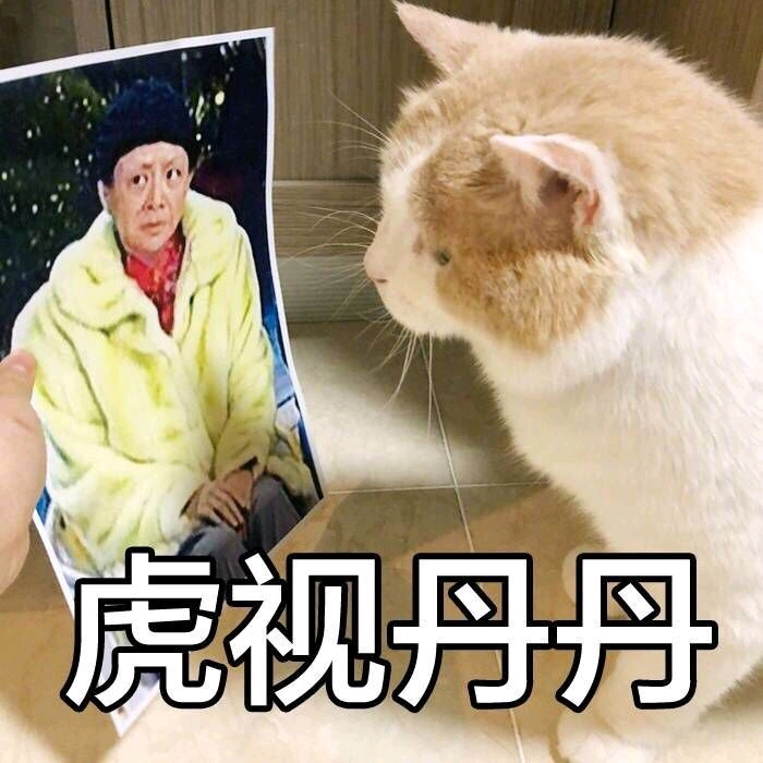 喵喵的表情包 可能会发重复.见谅