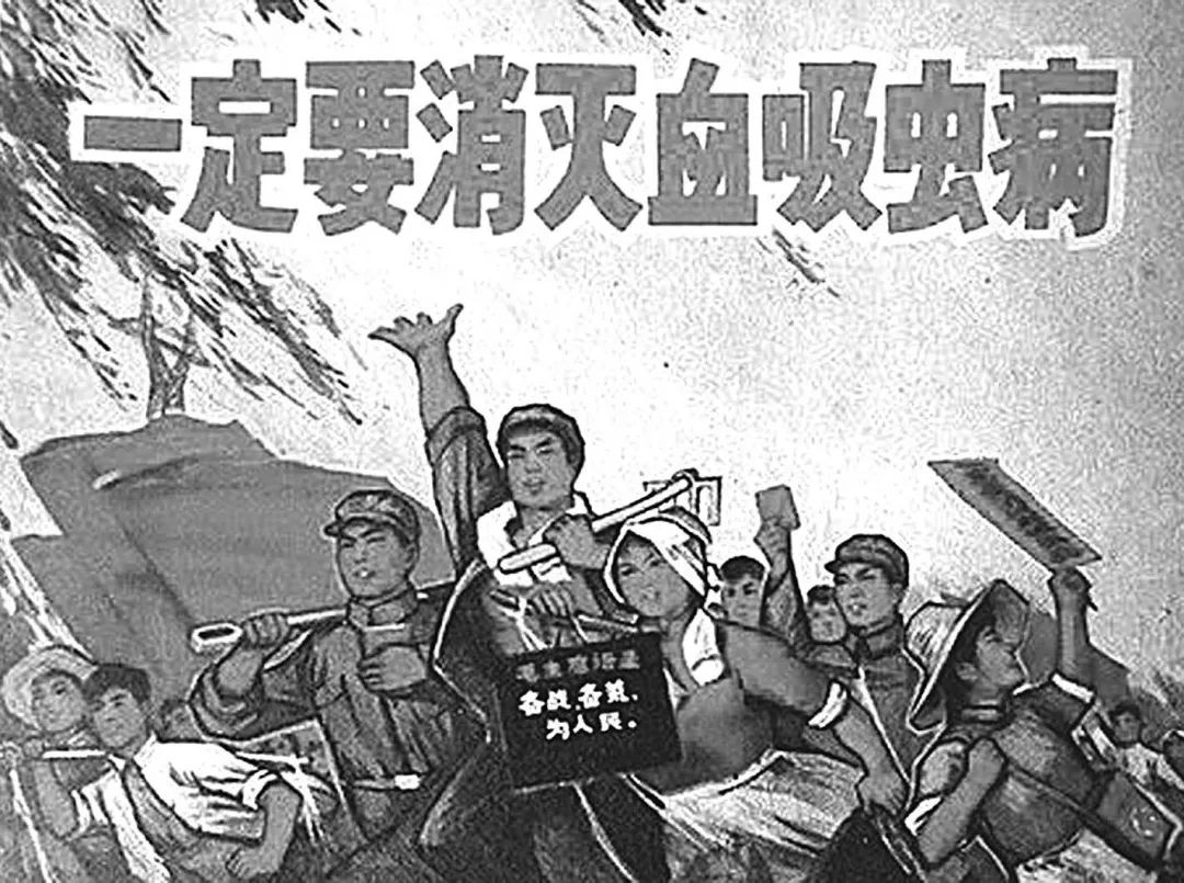 "一定要消灭血吸虫病"宣传画