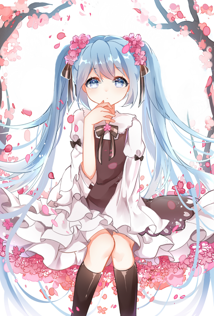 手机壁纸|二次元初音未来系列——樱初音 by:b站盐泽