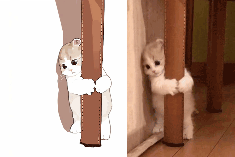 【插画分享】弱小 无助 可怜「猫咪」画师:@gentleeee