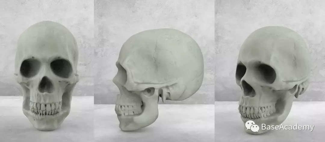 讲述通过用zbrush雕头骨的方式深入了解各个骨节之间的结构关系和比例