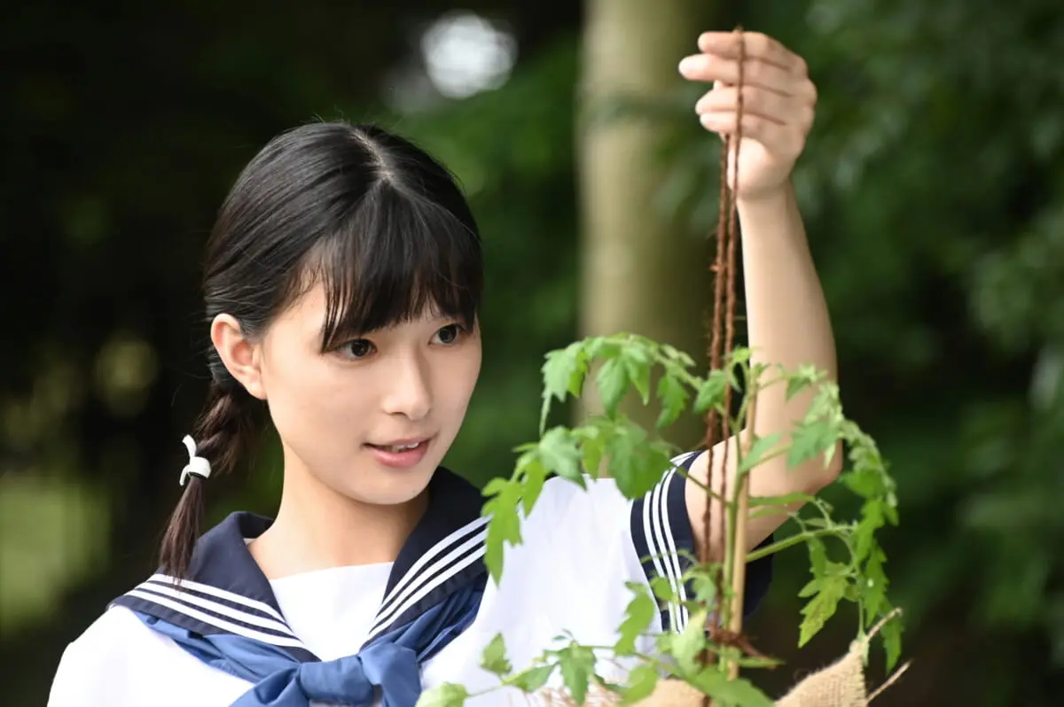 (1/3)日本现役超人气女优Top31,一个比一个美,简直了