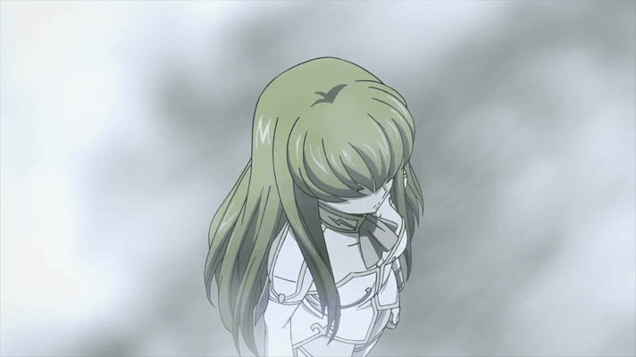 就只是个随波逐流,虚无缥缈的存在而已 命运与审判 阻挡在鲁鲁修面前