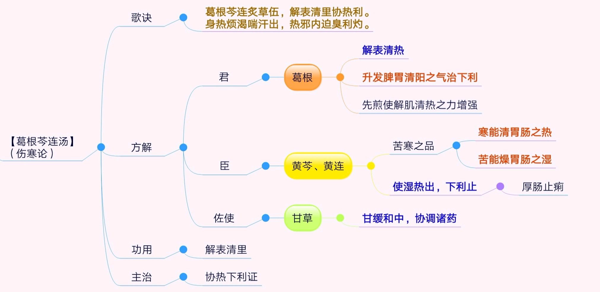 【每日1方】54.葛根芩连汤