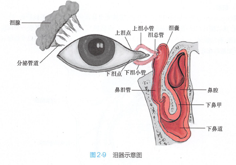 干眼(dry eye),又称角结膜干燥症(keratoconjunctivitis sicca)是指