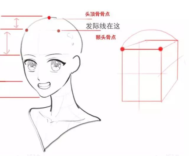 头发的厚度那有了这个光头之后,我们需要找发际线的位置发际线到头顶