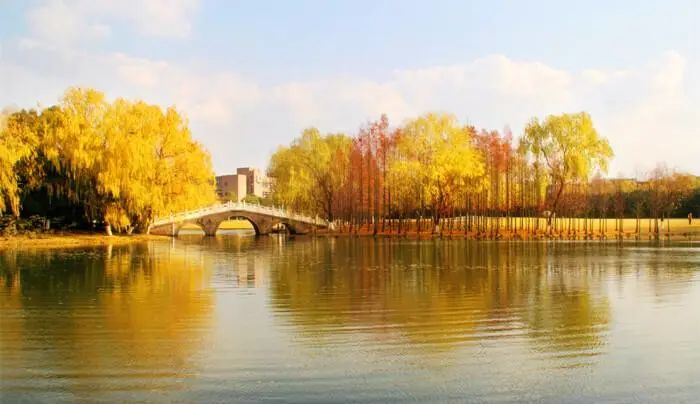 这所大学号称面积最大!简直堪比一座小城市插图7 这所大学号称面积最大!简直堪比一座小城市插图7