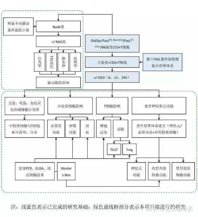 （图片来自网络，侵删，只给大家作为技术路线图展示）