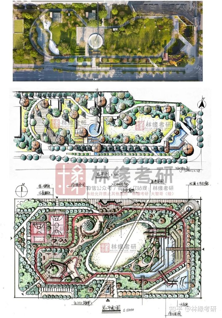 what?你敢相信这竟然是靠"抄"出来的快题?|南林2021风园快题出图