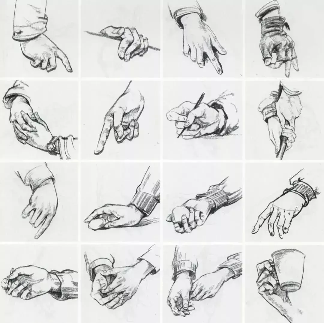 美术生速写快速入门，看懂就有高分！