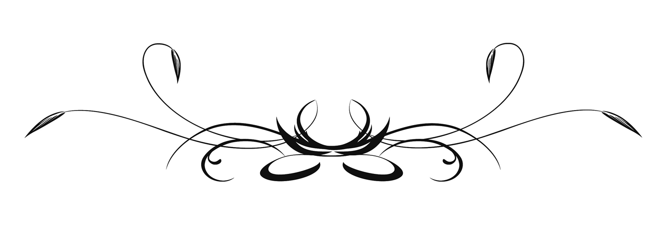 这是一条分割线(图源网,侵删)