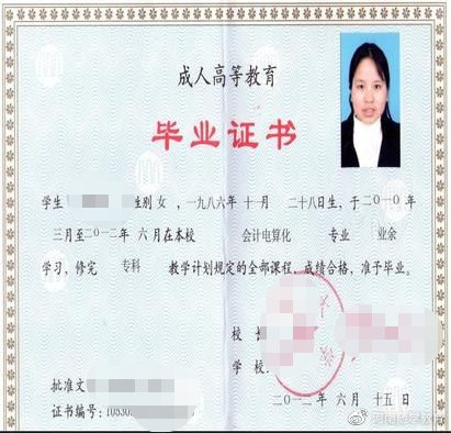 专升本第一学历是专科还是本科?插图2 专升本第一学历是专科还是本科?插图2