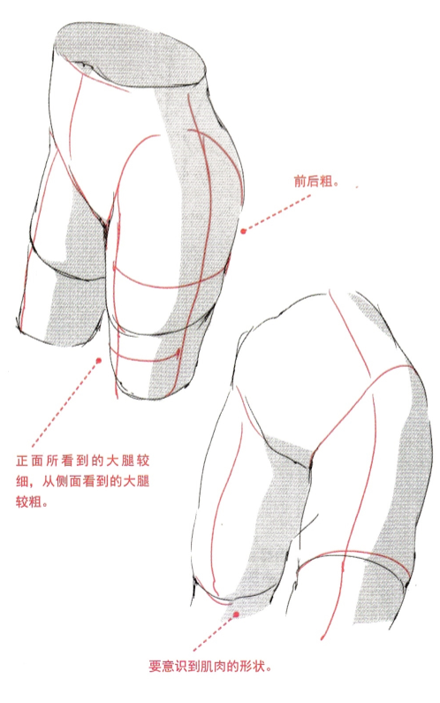 【素材】人体动态腿部姿势绘画参考,本子必备