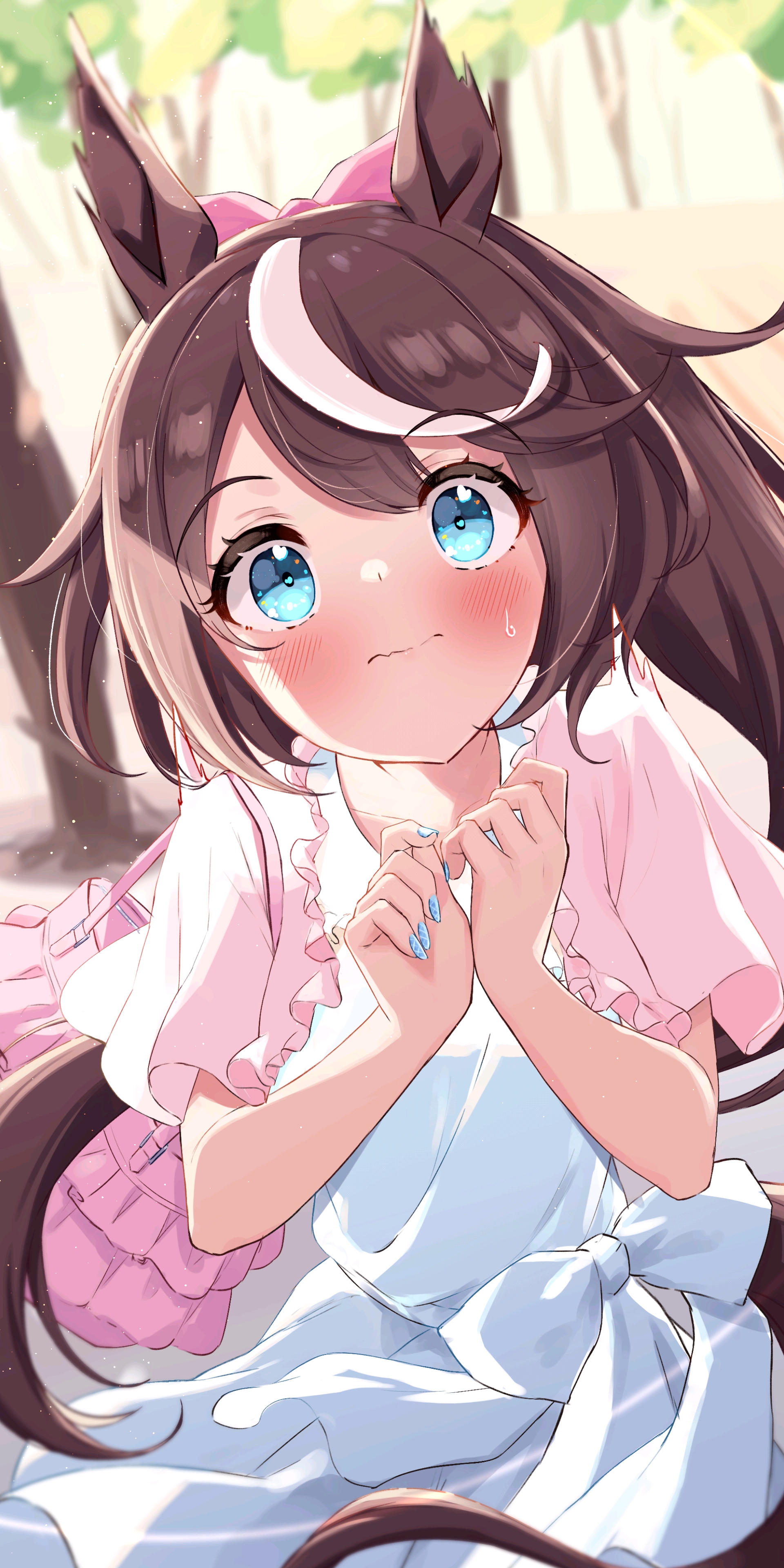 赛马娘——东海帝王