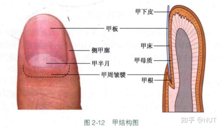 245da34ff8f20e68195aad4e107aefeb2063348842.jpg