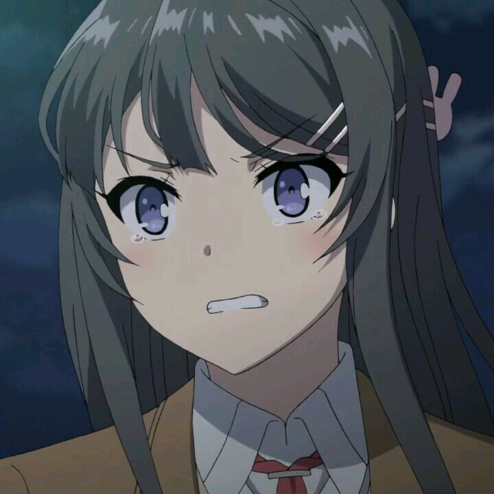 《青春猪头少年不会梦到兔女郎学姐》樱岛麻衣自截头像