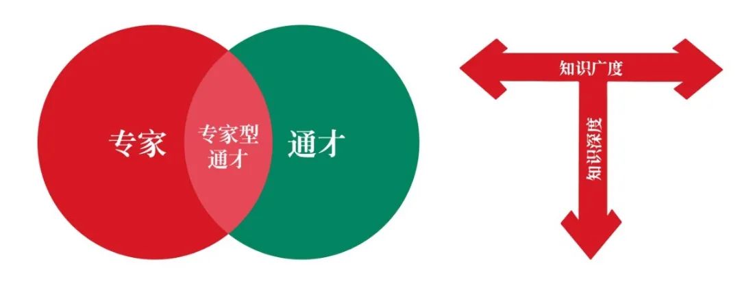 "t"型人才"i"代表专业基础知识必须扎实,而"一"则要求人才通晓各方面