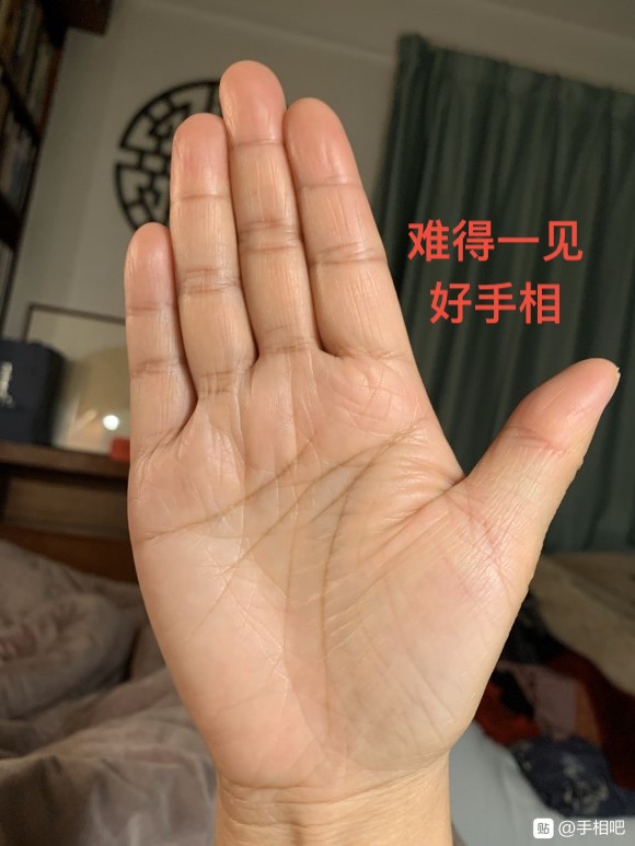 太阳线弯向掌边,贵人在外面,出门遇到贵人,平安顺遂.