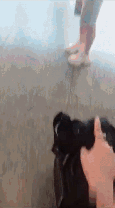 网恋14天奔现|朋友圈最强狗粮出现