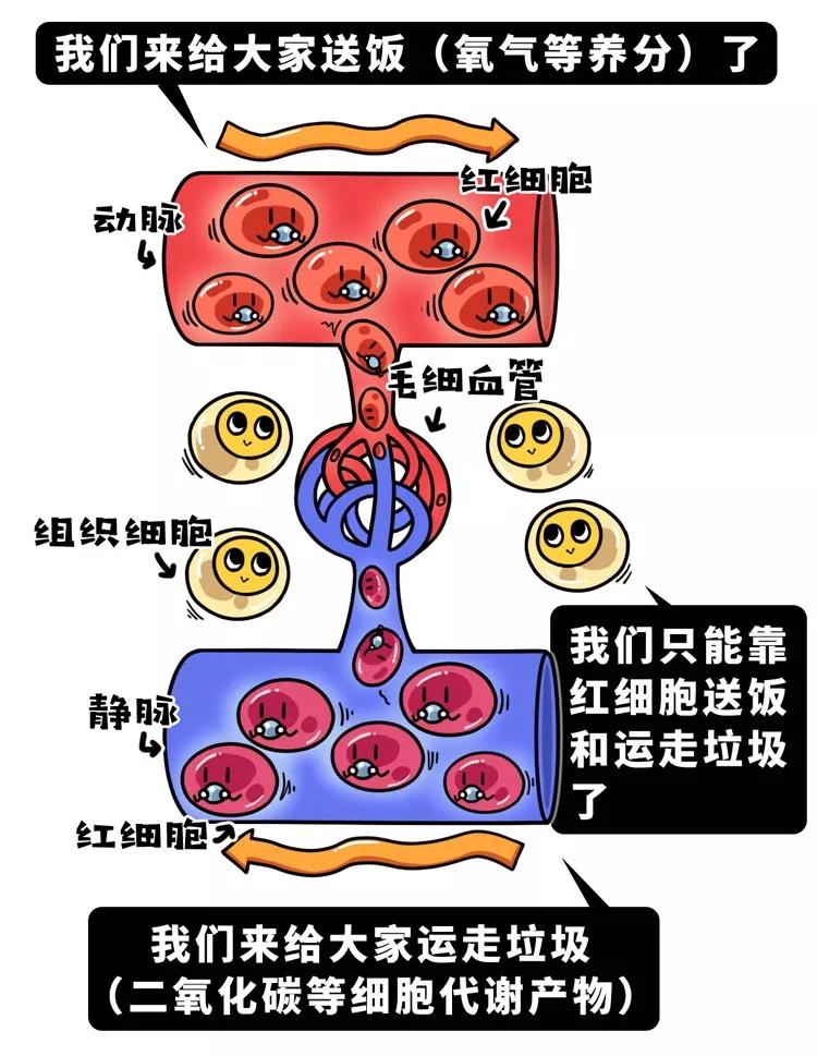 25961b234ffe1d4416e9e21516c2b7db98a4c69b.jpg
