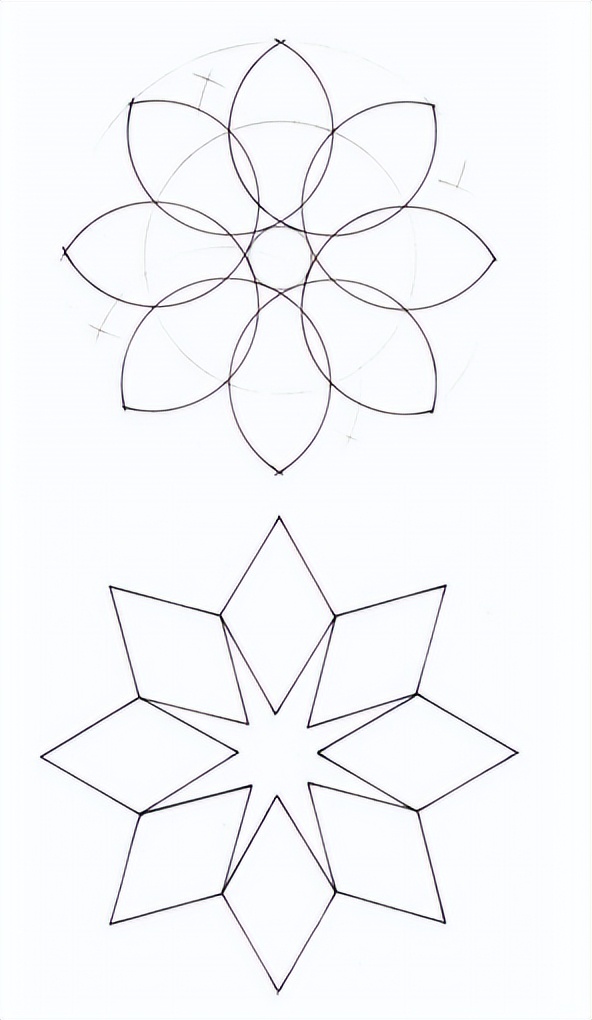 花朵的隐秘几何4:暴力拆解花朵的几何结构 (从6瓣到13瓣)