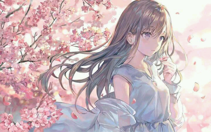 高清二次元美图