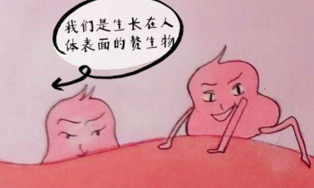 什么药可以让姨妈结束 25cb7e5450f5898afae5f4c066cba861f077b30a.png