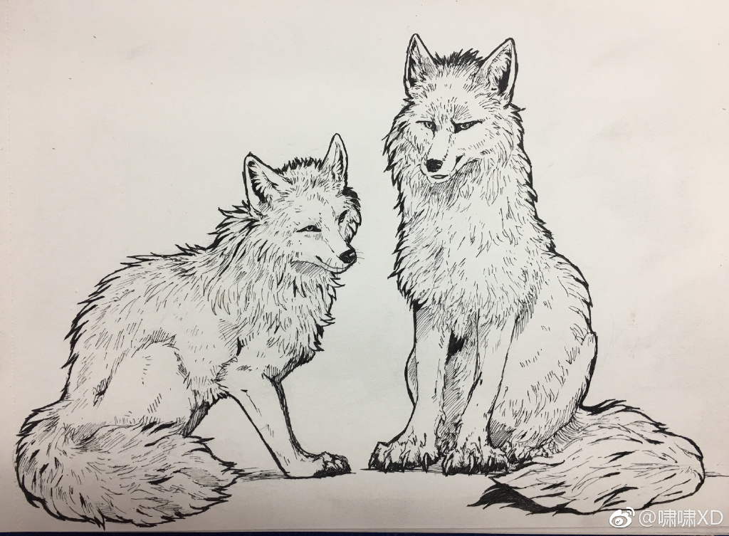 为了大家看到舒服一点,接下来就是素描啦.