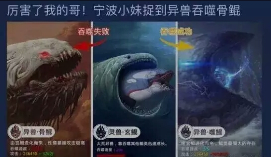 北冥神鲲了解一下!