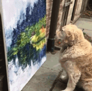 12.这棵树到底经历过什么! 13.难怪妹子的肚子没被晒黑.